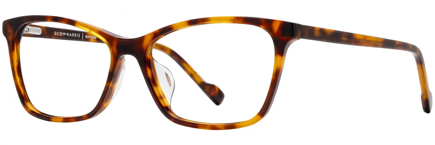 Scott Harris SH1018 Eyeglasses - view 6